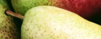 A pear